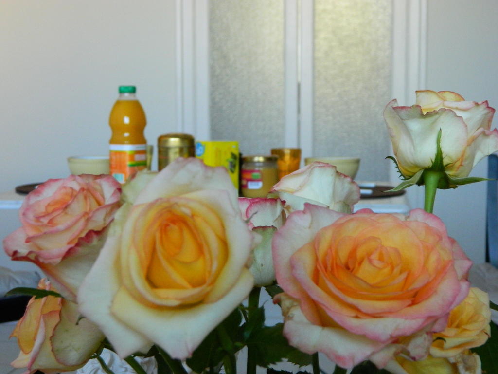 Chambre D'Hote Zen Chez Philippe 마르세유 객실 사진